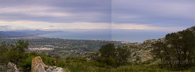 montgo772