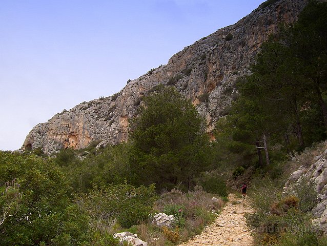 montgo780