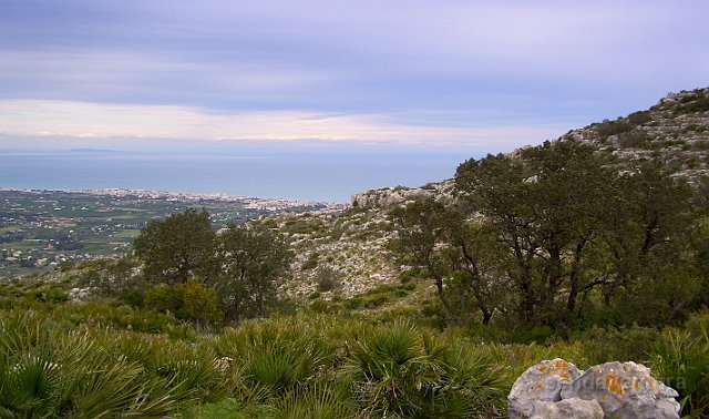 montgo790