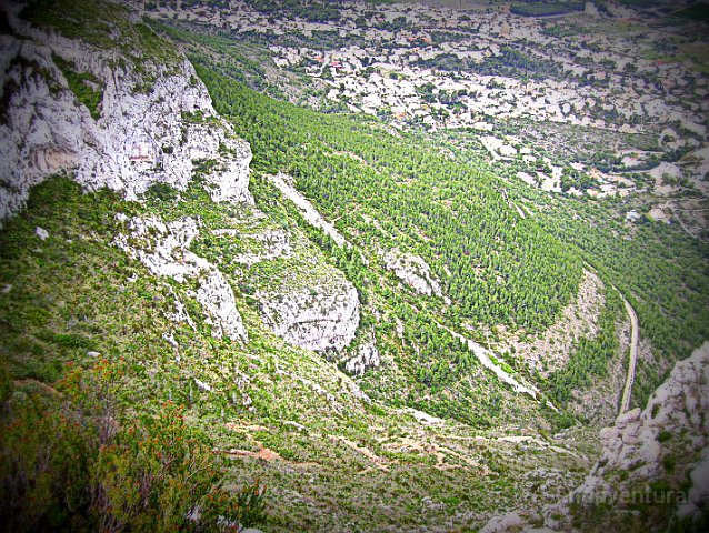 montgo795