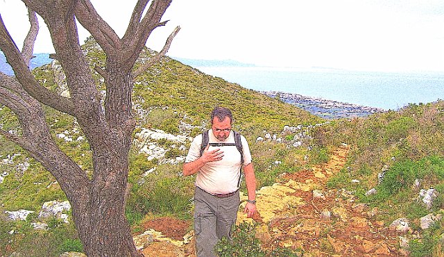 montgo798