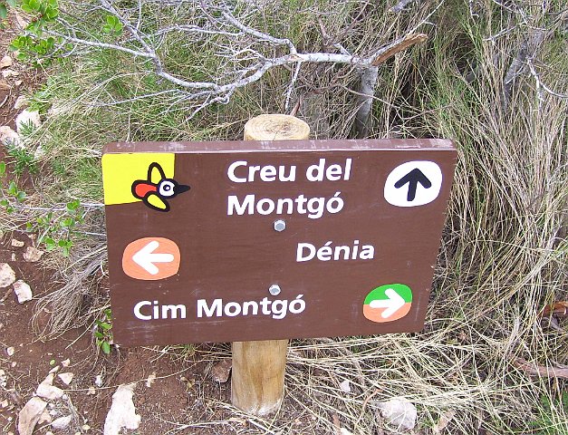 montgo805