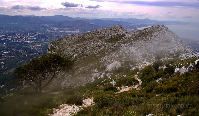 montgo807