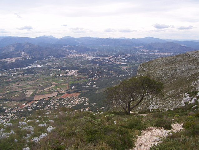 montgo809