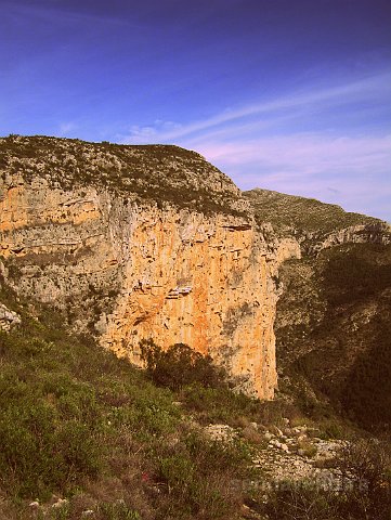 montgo838