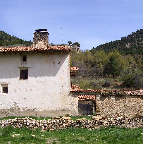 cantav27