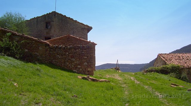cantav29