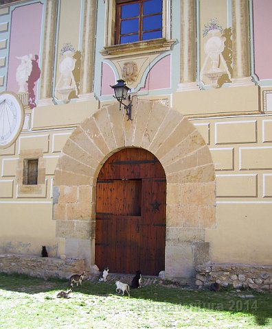 cantav54