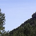 cantav40.JPG